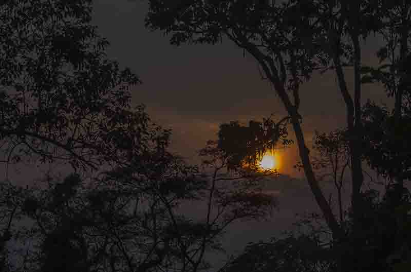62 - Ruanda - parque nacional de Nyungwe - amanecer